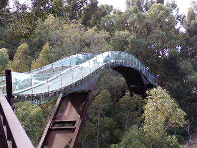 Bridge through the trees.